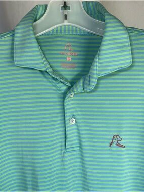 Rhoback The Birdie Stripe Men’s Short Sleeve Performance Polo Mint Green/Blue M
